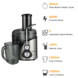 Stainless Steel 3 Gear Electric Juicer Machine