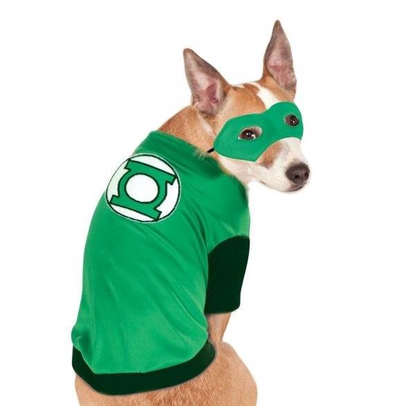 Green Lantern Pet Costume