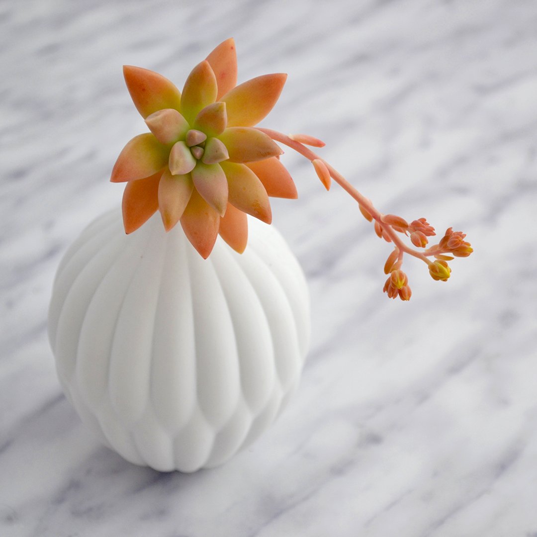 Petite Textured Porcelain Vase